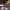 https://res.cloudinary.com/billionhands/image/upload/v1771674326/items/ql4nbmqfdhqz6w0zupkf.jpg-0cover