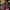 https://res.cloudinary.com/billionhands/image/upload/v1771674330/items/w2plimhx0zd2ky3p7fdp.jpg-1cover
