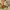 https://res.cloudinary.com/billionhands/image/upload/v1771674332/items/wuucpjnqnktk3zukjatl.jpg-2cover