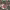 https://res.cloudinary.com/billionhands/image/upload/v1771744993/items/hazmlbif0wjk7lgjvcdd.jpg-0cover