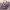 https://res.cloudinary.com/billionhands/image/upload/v1771744993/items/vwxiodwwgyof3uddtjtj.jpg-1cover
