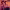 https://res.cloudinary.com/billionhands/image/upload/v1771744994/items/ddkoaaw8rgbdwsn9uvmq.jpg-1cover