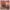 https://res.cloudinary.com/billionhands/image/upload/v1771745001/items/m5dn71qmdqjvkqjucwqq.jpg-3cover