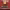 https://res.cloudinary.com/billionhands/image/upload/v1771745003/items/cxajcscqgoqo90pemmod.webp-1cover