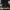 https://res.cloudinary.com/billionhands/image/upload/v1771745034/items/h4apzekehjllgsfrb9uw.jpg-0cover