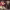 https://res.cloudinary.com/billionhands/image/upload/v1771745037/items/bbize3z0jcfe9nanz7bu.jpg-2cover