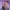 https://res.cloudinary.com/billionhands/image/upload/v1771745037/items/z5cnapyv6lhyivfdenk8.jpg-3cover