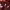 https://res.cloudinary.com/billionhands/image/upload/v1771776668/items/p8yyb5kaddk53shftuw3.webp-3cover