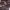 https://res.cloudinary.com/billionhands/image/upload/v1771816350/items/vfiqidkm1me3jysnfejo.jpg-3cover