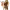 https://res.cloudinary.com/billionhands/image/upload/v1771831349/items/y8lp2dzhbcexo5qm3xsj.png-2cover