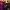 https://res.cloudinary.com/billionhands/image/upload/v1771831361/items/igxnhzuknxrh6uks5y0x.webp-3cover