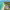 Alila Mayakoba (Riviera Maya) cover