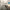 https://res.cloudinary.com/billionhands/image/upload/v1771842377/items/i2x5hoyji5zmnphxo6ga.jpg-0cover