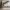https://res.cloudinary.com/billionhands/image/upload/v1771842381/items/qf3r0l7vwaiun6zvoe6t.jpg-1cover