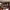 https://res.cloudinary.com/billionhands/image/upload/v1771842383/items/pyvzewlnm2fhp8gqx8cx.jpg-3cover
