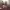 https://res.cloudinary.com/billionhands/image/upload/v1771842400/items/bunnwmcgfcqrziw3rj81.png-0cover