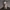 https://res.cloudinary.com/billionhands/image/upload/v1771842409/items/v0x1yqmxskhztj9l0bng.png-0cover