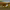 https://res.cloudinary.com/billionhands/image/upload/v1771842526/items/lbzfh3dyrceoxp8lp1zn.webp-1cover