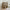 https://res.cloudinary.com/billionhands/image/upload/v1771842695/items/zj3nob25wsnqtowloim2.jpg-0cover