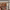 https://res.cloudinary.com/billionhands/image/upload/v1771842761/items/gdsdyzyeipe649zxmtu1.webp-2cover