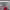 https://res.cloudinary.com/billionhands/image/upload/v1771842779/items/fjrfynksy6i4trdu0dld.webp-3cover