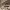 https://res.cloudinary.com/billionhands/image/upload/v1771842826/items/a6umx6btjw0mujdszmb7.jpg-3cover