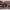 https://res.cloudinary.com/billionhands/image/upload/v1771842836/items/gpixgnephyolthduu0cq.jpg-3cover