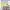 https://res.cloudinary.com/billionhands/image/upload/v1771842864/items/xa8nvhgomqdo8jfwfk47.jpg-0cover