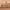 https://res.cloudinary.com/billionhands/image/upload/v1771842867/items/sf8xkeovh0h8ofbeim05.jpg-1cover