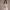 https://res.cloudinary.com/billionhands/image/upload/v1771842868/items/ylctvxjvlviiyyrazehy.jpg-3cover
