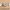 https://res.cloudinary.com/billionhands/image/upload/v1771843051/items/fi53k6tnf7b6pugafnwp.jpg-1cover