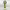 https://res.cloudinary.com/billionhands/image/upload/v1771843056/items/imemw2ymnsuqs8gnwmso.webp-1cover