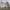 https://res.cloudinary.com/billionhands/image/upload/v1771843062/items/c8ajstjz2szbvvjdeibx.webp-3cover