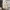 https://res.cloudinary.com/billionhands/image/upload/v1771843158/items/phcnsjju03iadowshya2.webp-3cover