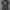 https://res.cloudinary.com/billionhands/image/upload/v1771843174/items/m4frafpoc2eba5xex7xl.webp-3cover