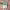 https://res.cloudinary.com/billionhands/image/upload/v1771843275/items/zawfd5jdyvv7lehfzon2.png-0cover