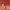 https://res.cloudinary.com/billionhands/image/upload/v1771843365/items/fgc3mk6zisdhdwnt79lf.jpg-1cover