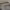 https://res.cloudinary.com/billionhands/image/upload/v1771843368/items/cel1okgbh9mv4wask6qd.jpg-0cover