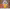 Rotulowcost (Online) cover