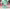 https://res.cloudinary.com/billionhands/image/upload/v1771843388/items/nb5wztl3uoji4da4vehj.png-3cover