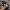 El Molino Audiovisual (Calamocha, Teruel) cover