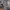 https://res.cloudinary.com/billionhands/image/upload/v1771843458/items/jxwwqurvhb14vf48wq3k.png-0cover