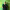 https://res.cloudinary.com/billionhands/image/upload/v1771843460/items/pelxryu2cspqmobfuuc4.png-1cover
