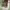 https://res.cloudinary.com/billionhands/image/upload/v1771843465/items/ajcqams9w5du5bpweg40.jpg-0cover