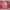 https://res.cloudinary.com/billionhands/image/upload/v1771843469/items/x0z7otpqmrmxyojxpunf.jpg-3cover