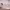 https://res.cloudinary.com/billionhands/image/upload/v1771843587/items/sojpmdrl7y3mbcdoqguw.jpg-0cover