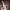 https://res.cloudinary.com/billionhands/image/upload/v1771843588/items/w6ef9focolfj71vws7ak.png-3cover