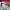 TikTok Ads cover
