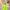 https://res.cloudinary.com/billionhands/image/upload/v1771843616/items/cjl6aqdtvtz3oci9oisw.jpg-2cover