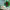 https://res.cloudinary.com/billionhands/image/upload/v1771843717/items/fpvdghnygjo0soj05mwj.jpg-0cover